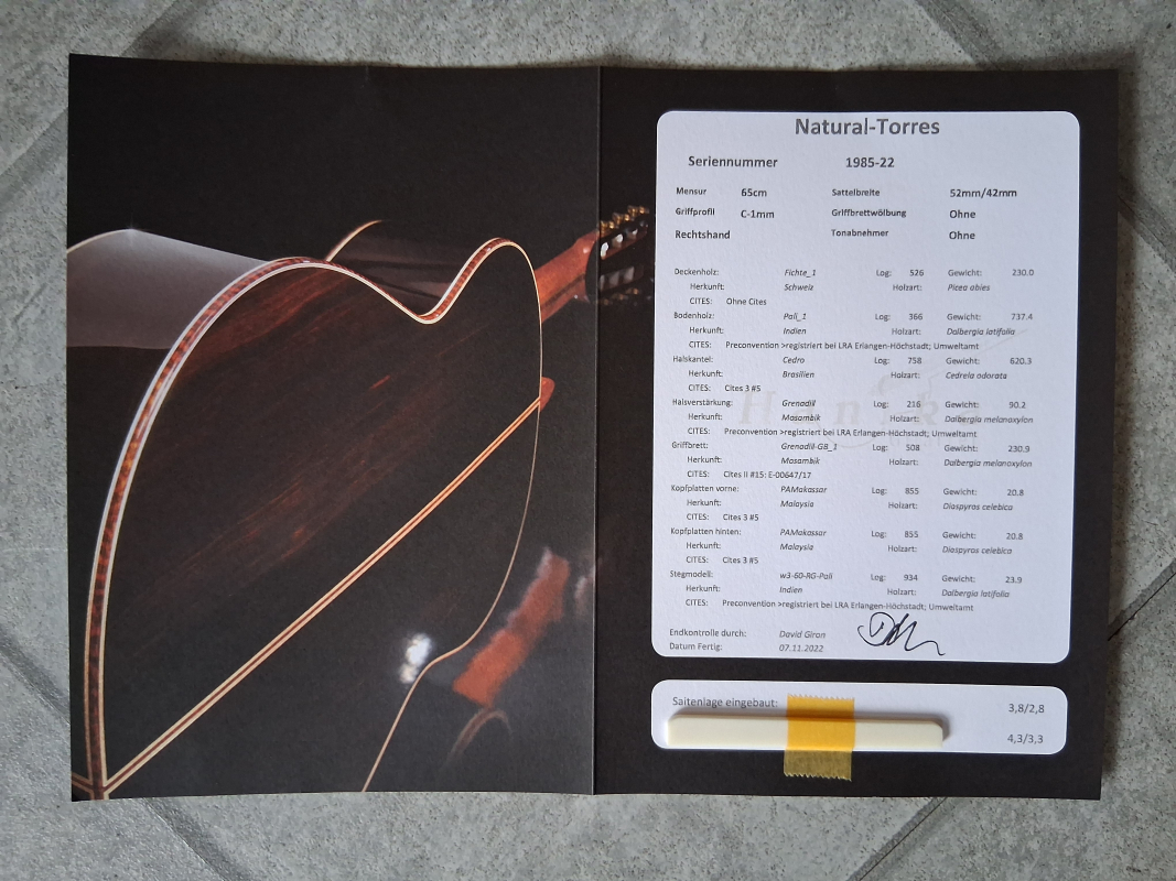 Hanika Natural Torres, Fichte / Palisander vollmassiv, made in Germany, inkl. Case, gebraucht